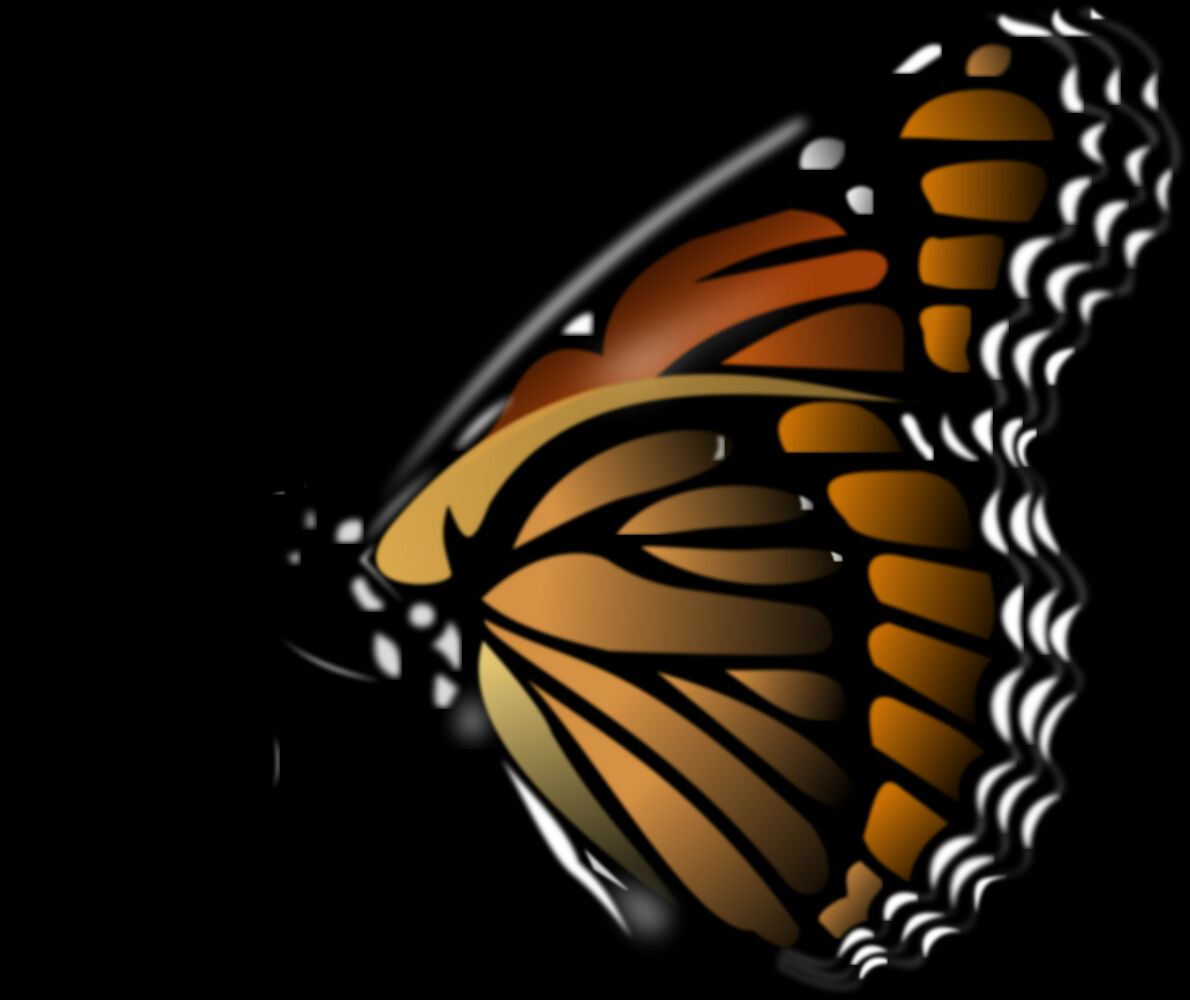 Butterfly Animal PNG Image