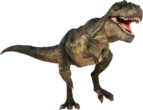 Dinosaur Anger