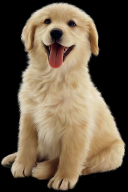 Dog PNG Image