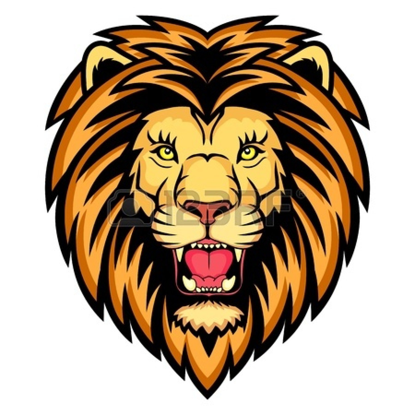 Lion Head Animal Image White Background
