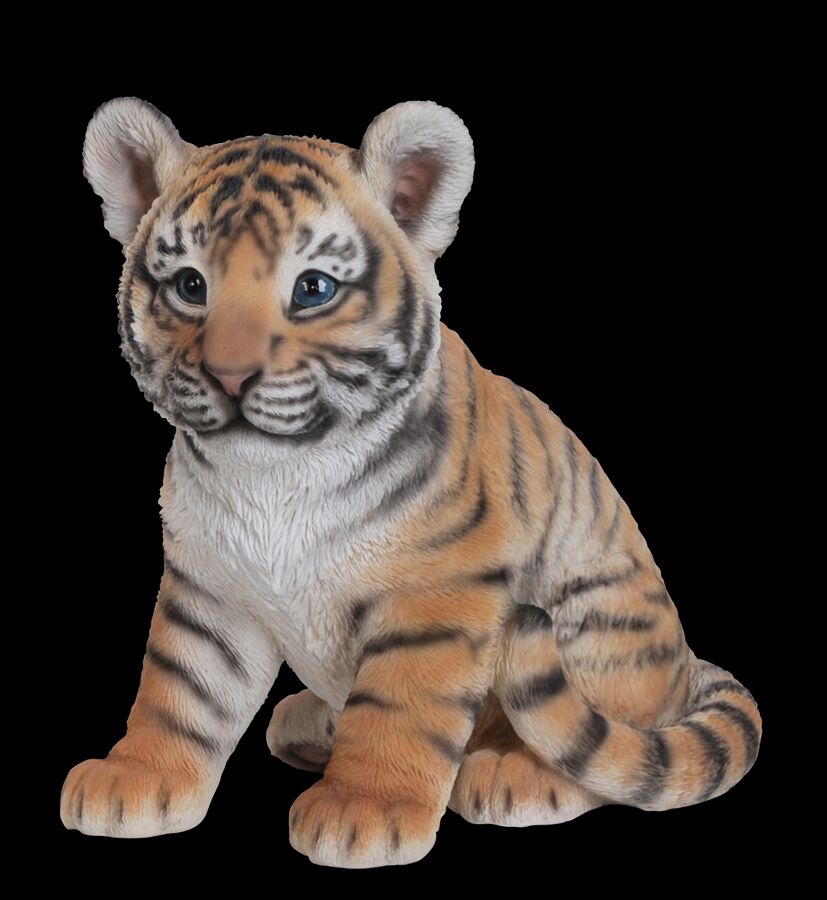Tiger Kid PNG Image