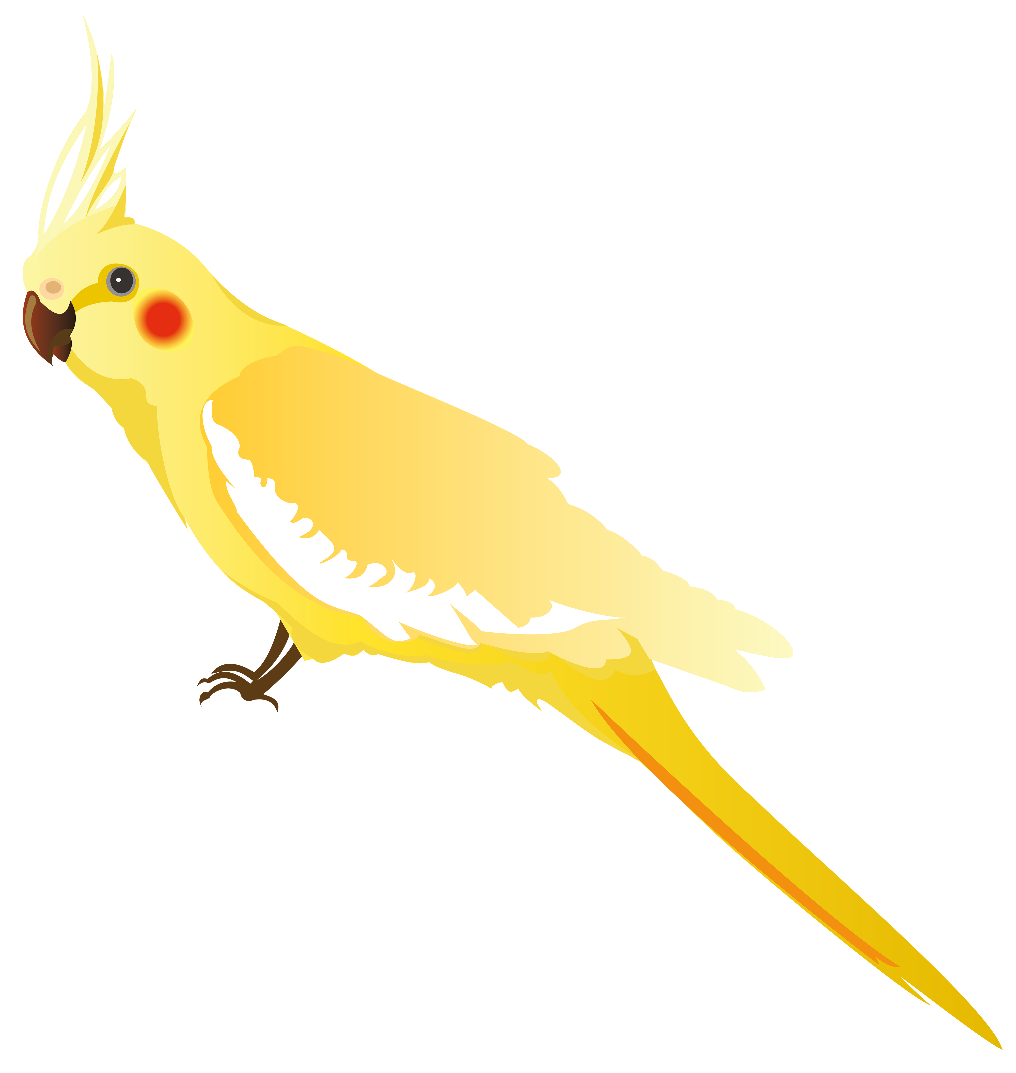 Birds animal png image (7)