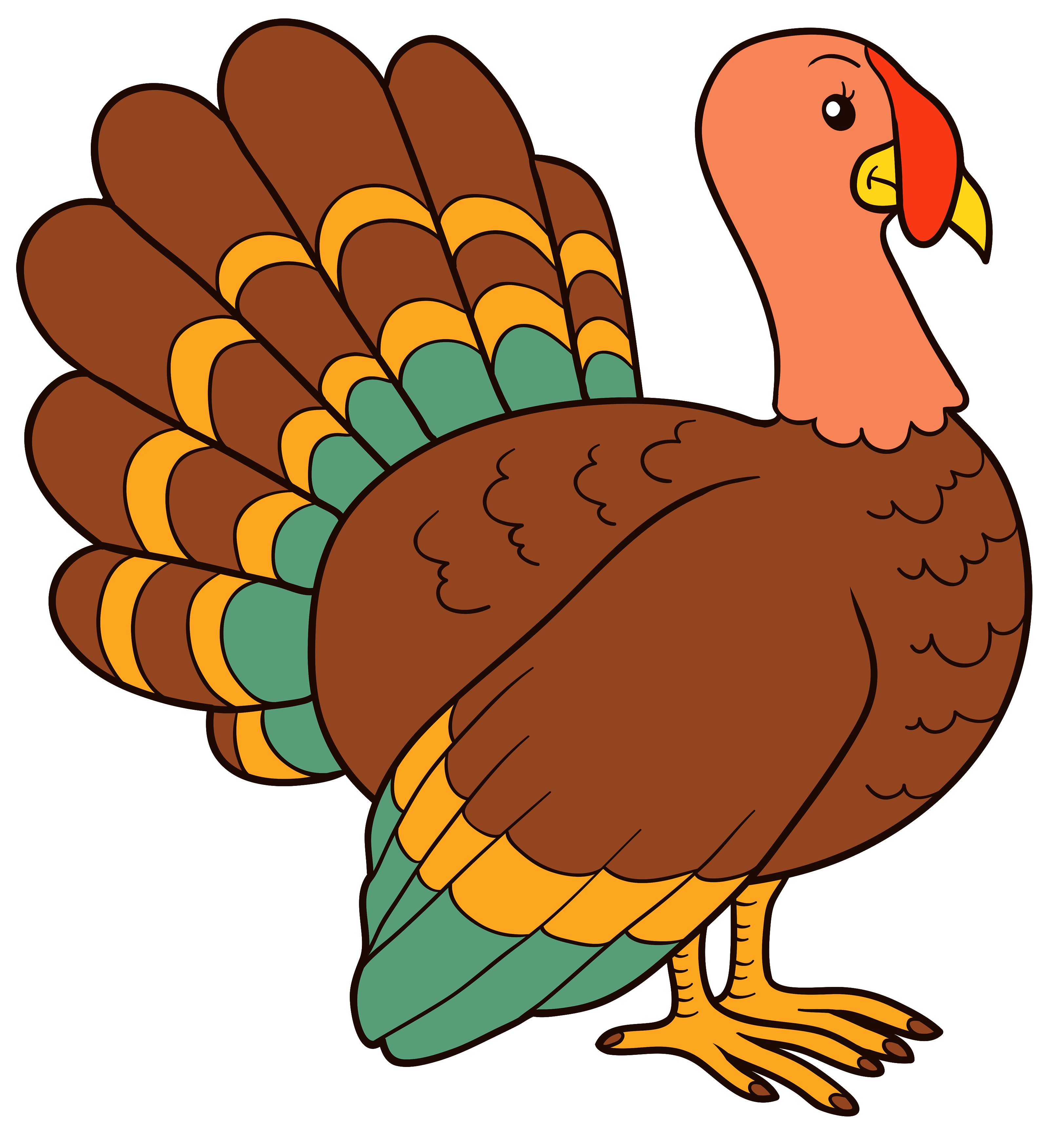 Birds animal png image (8)
