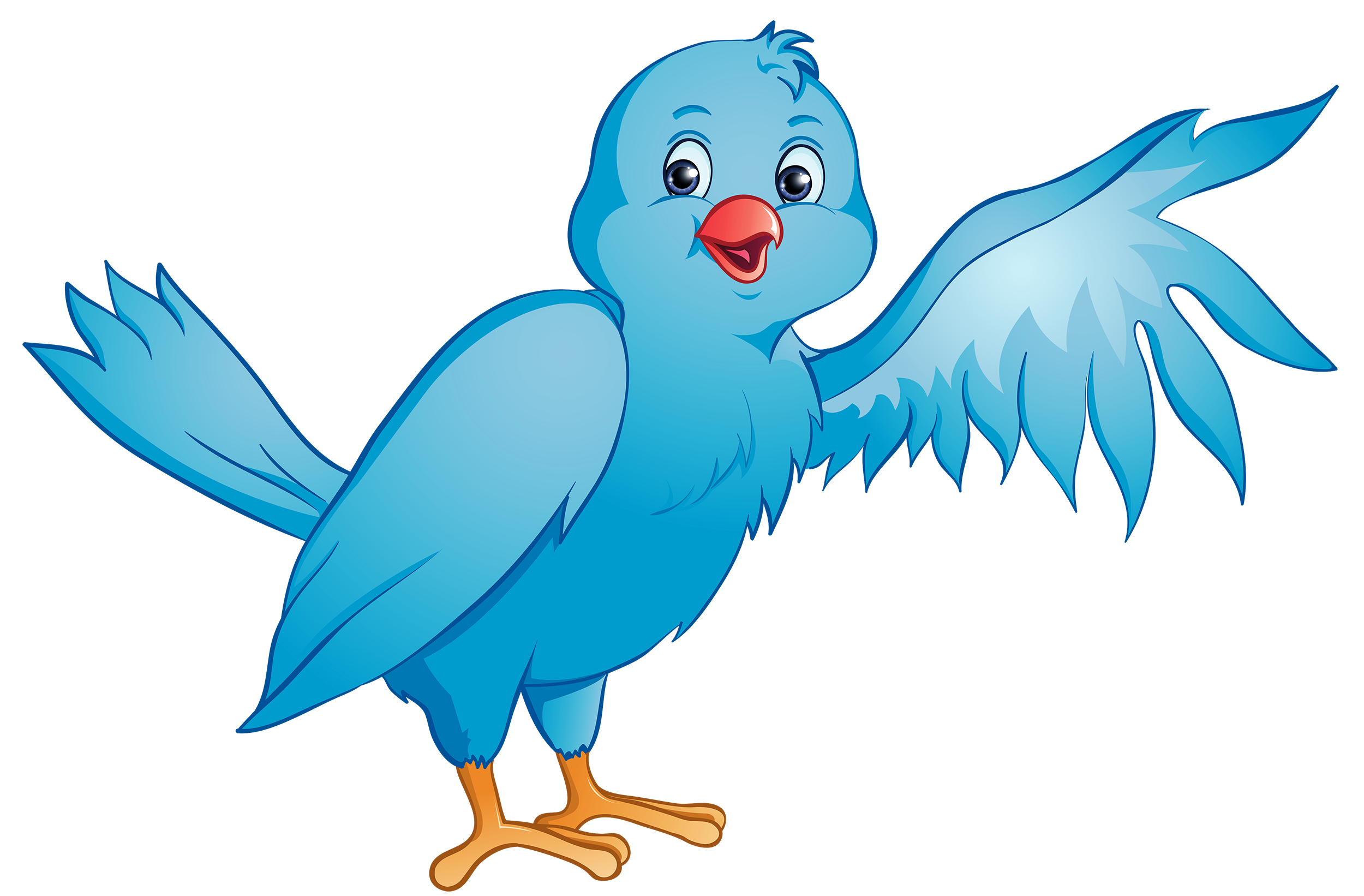 Birds animal png image (12)