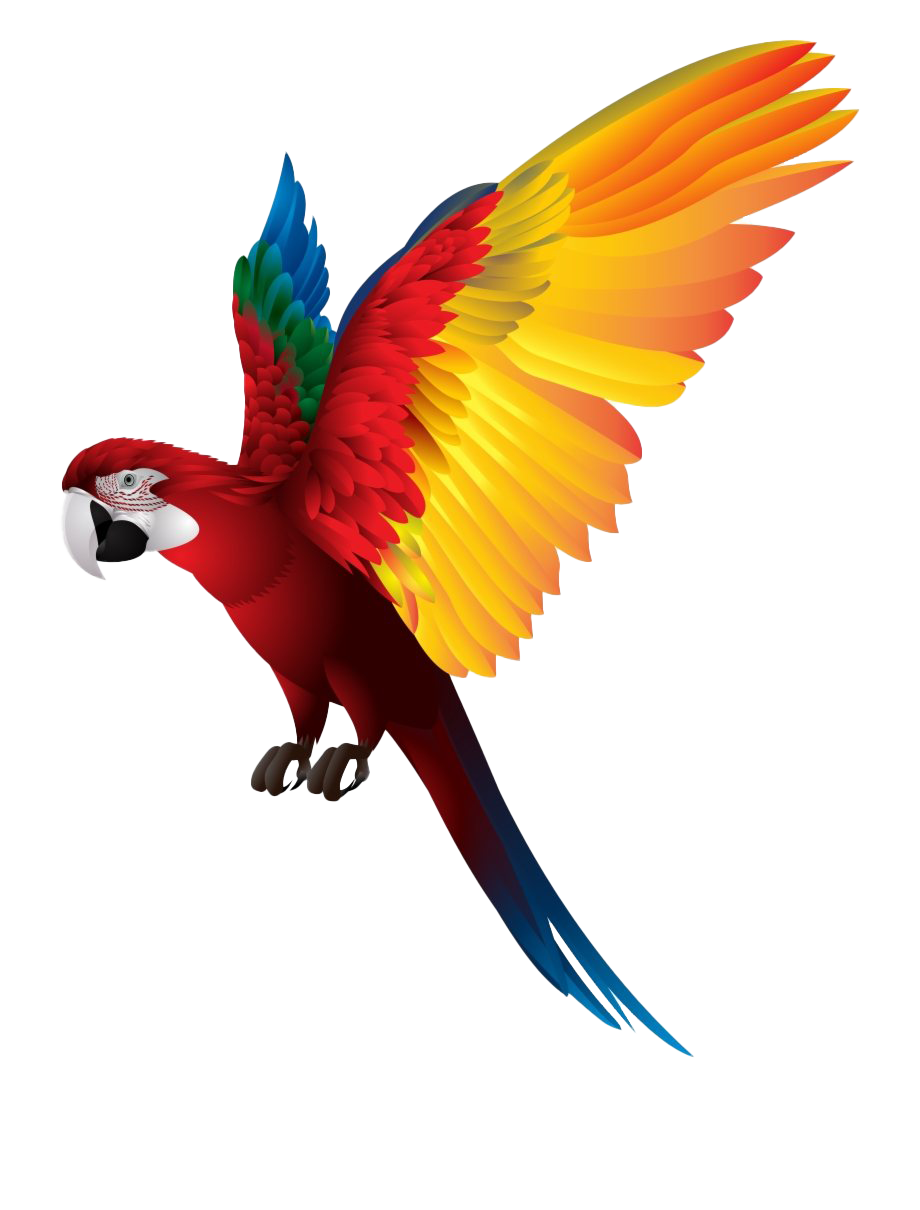 Birds animal png image (29)