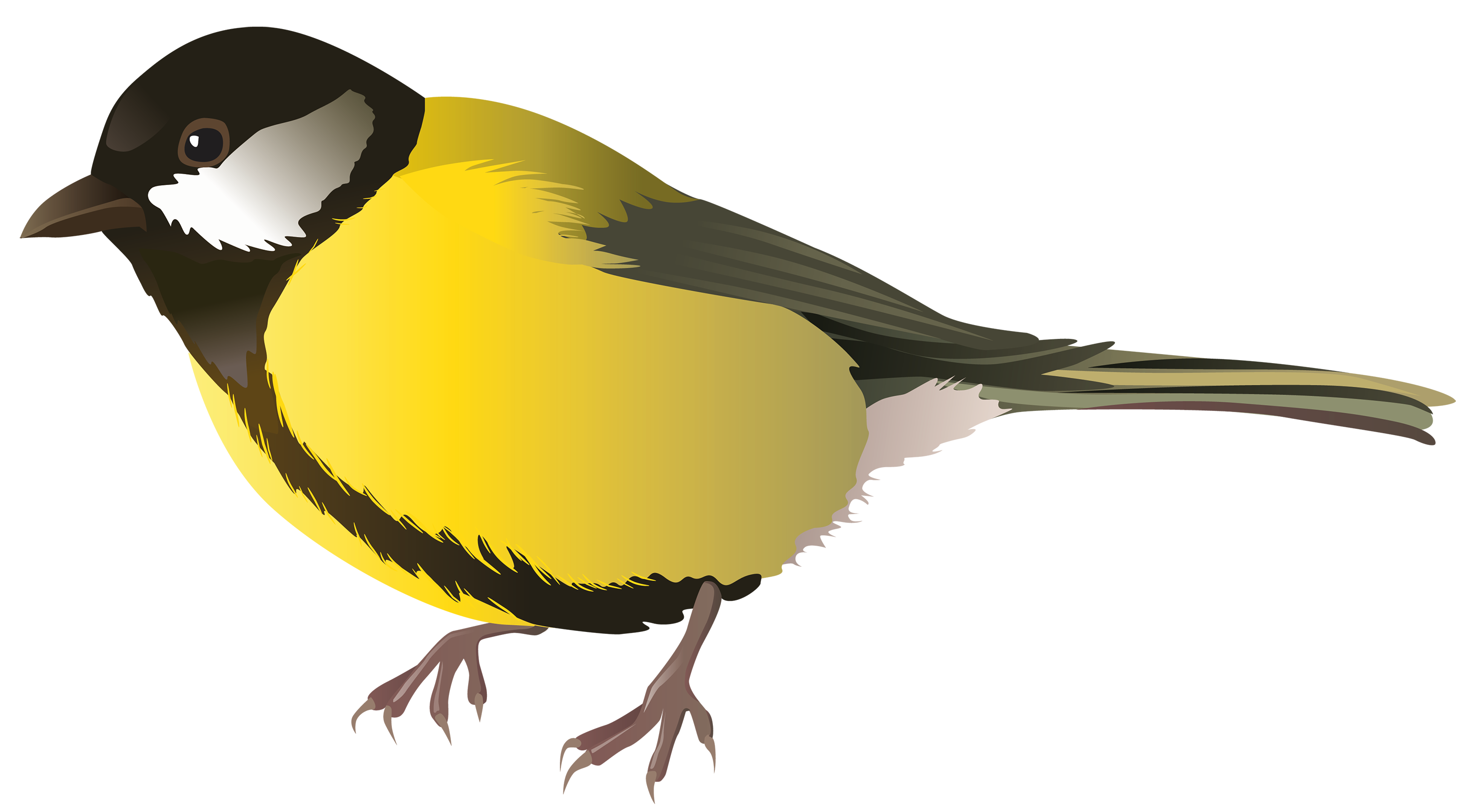 Birds animal png image (39)