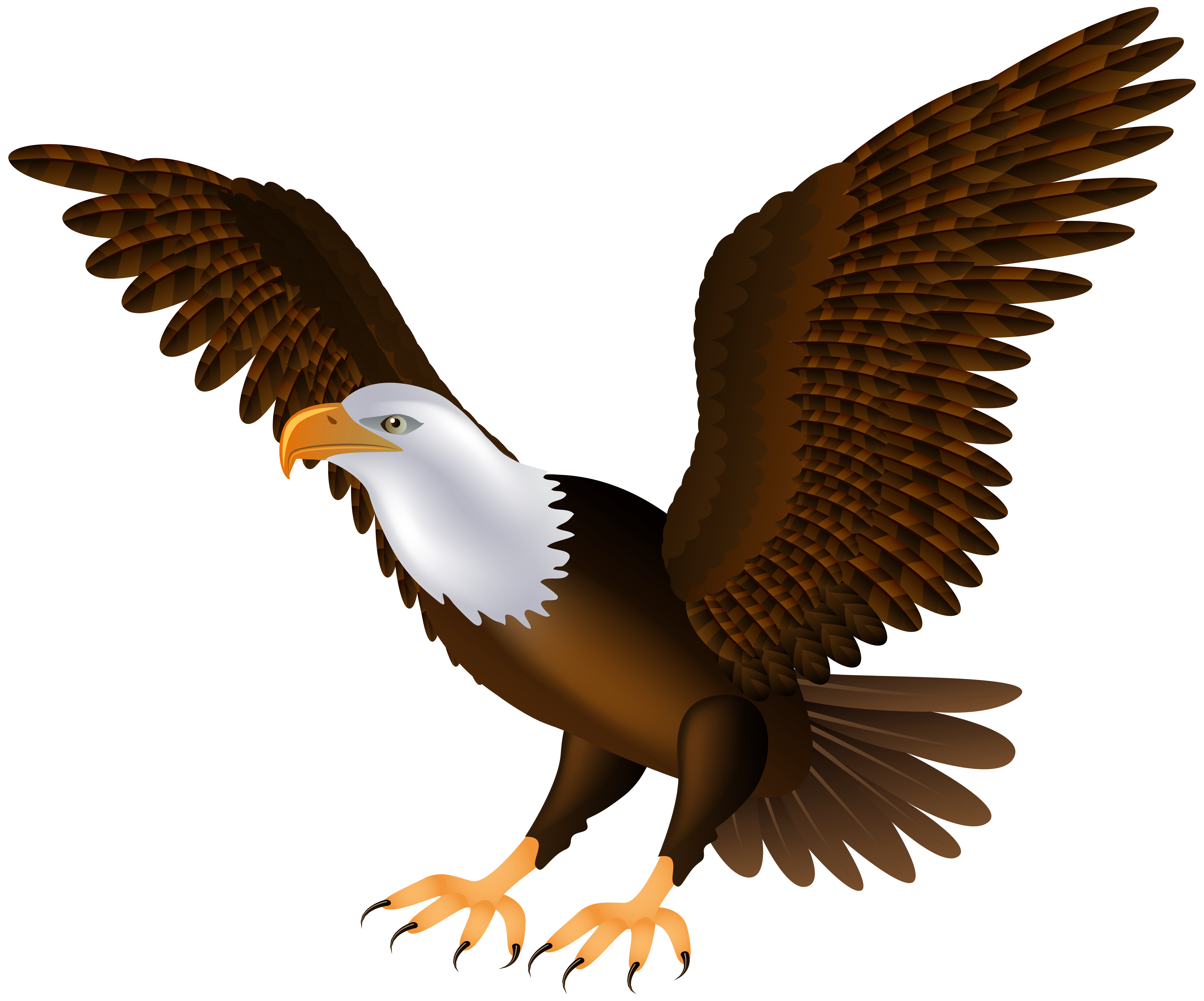 Birds animal png image (47)