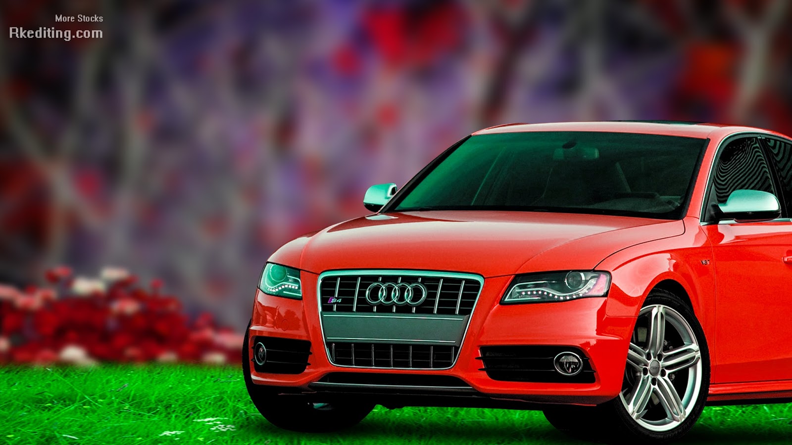 Car and Bike Image (3)