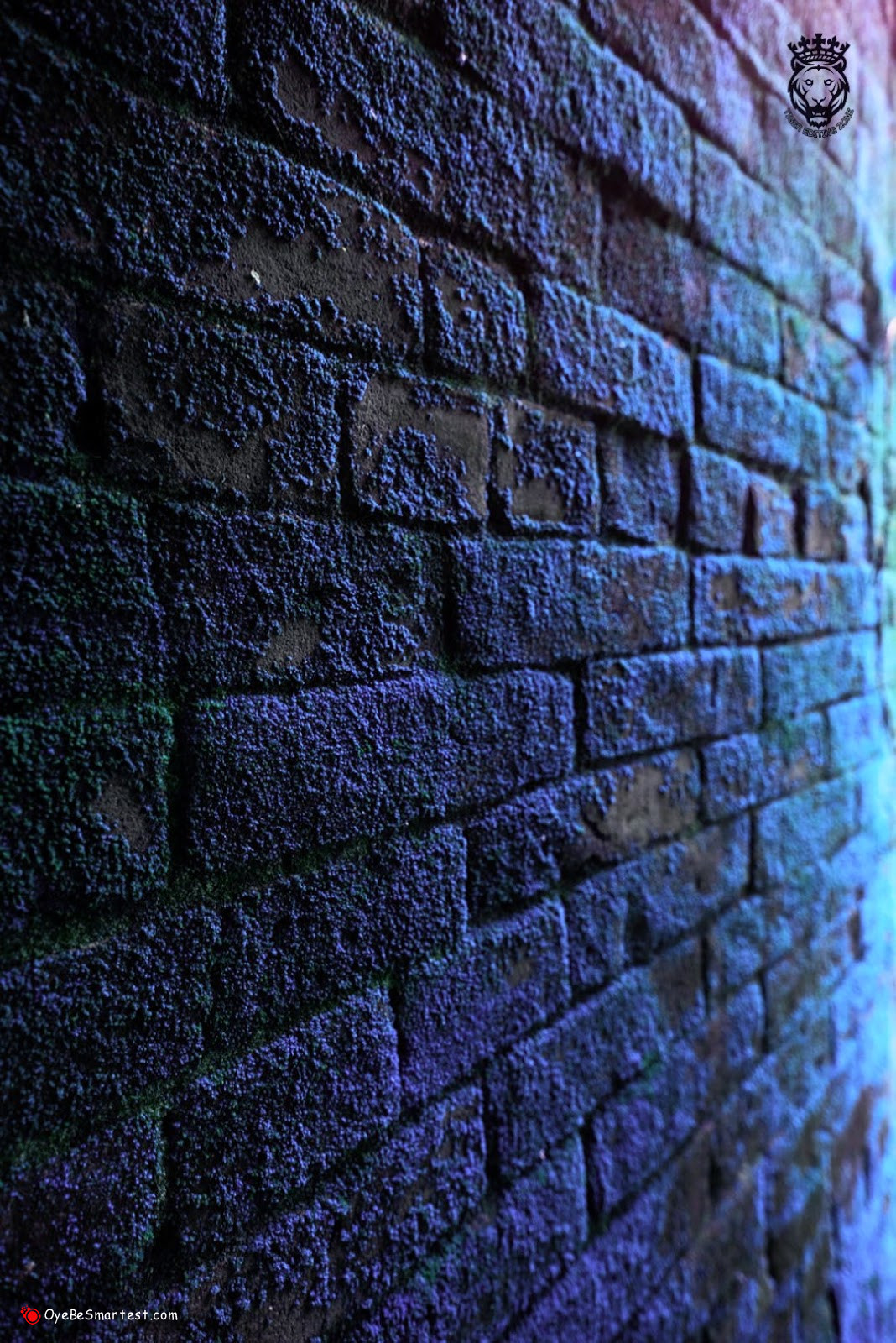 Graphics Background Effect & Blur Image (6)