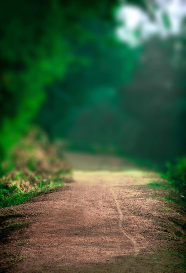 Graphics Background Effect & Blur Image (10)