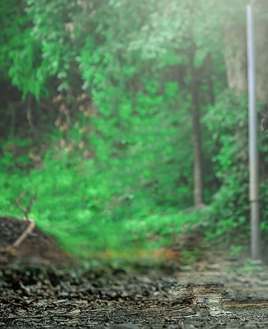 Graphics Background Effect & Blur Image (11)