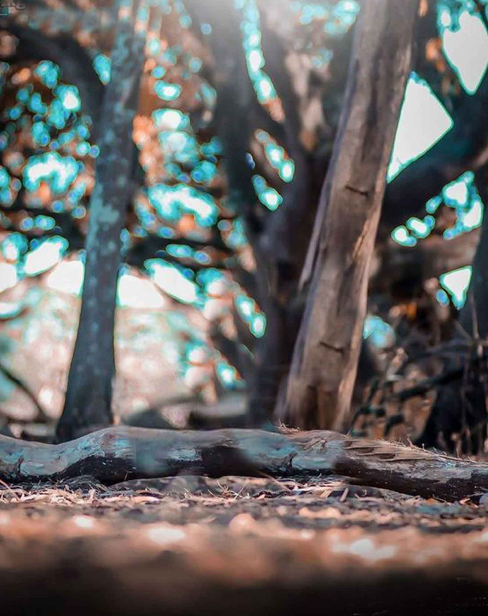 Graphics Background Effect & Blur Image (12)