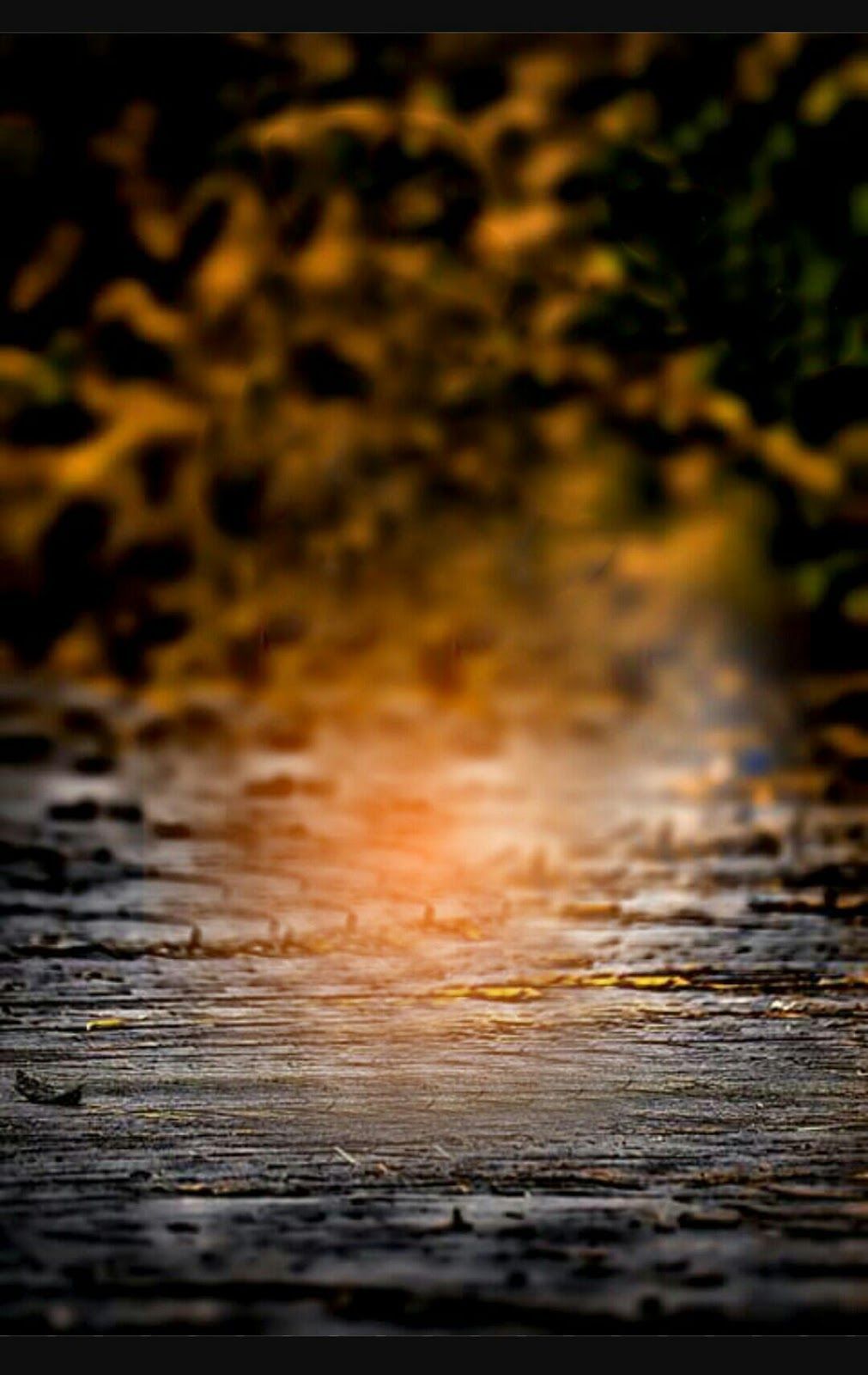 Graphics Background Effect & Blur Image (14)