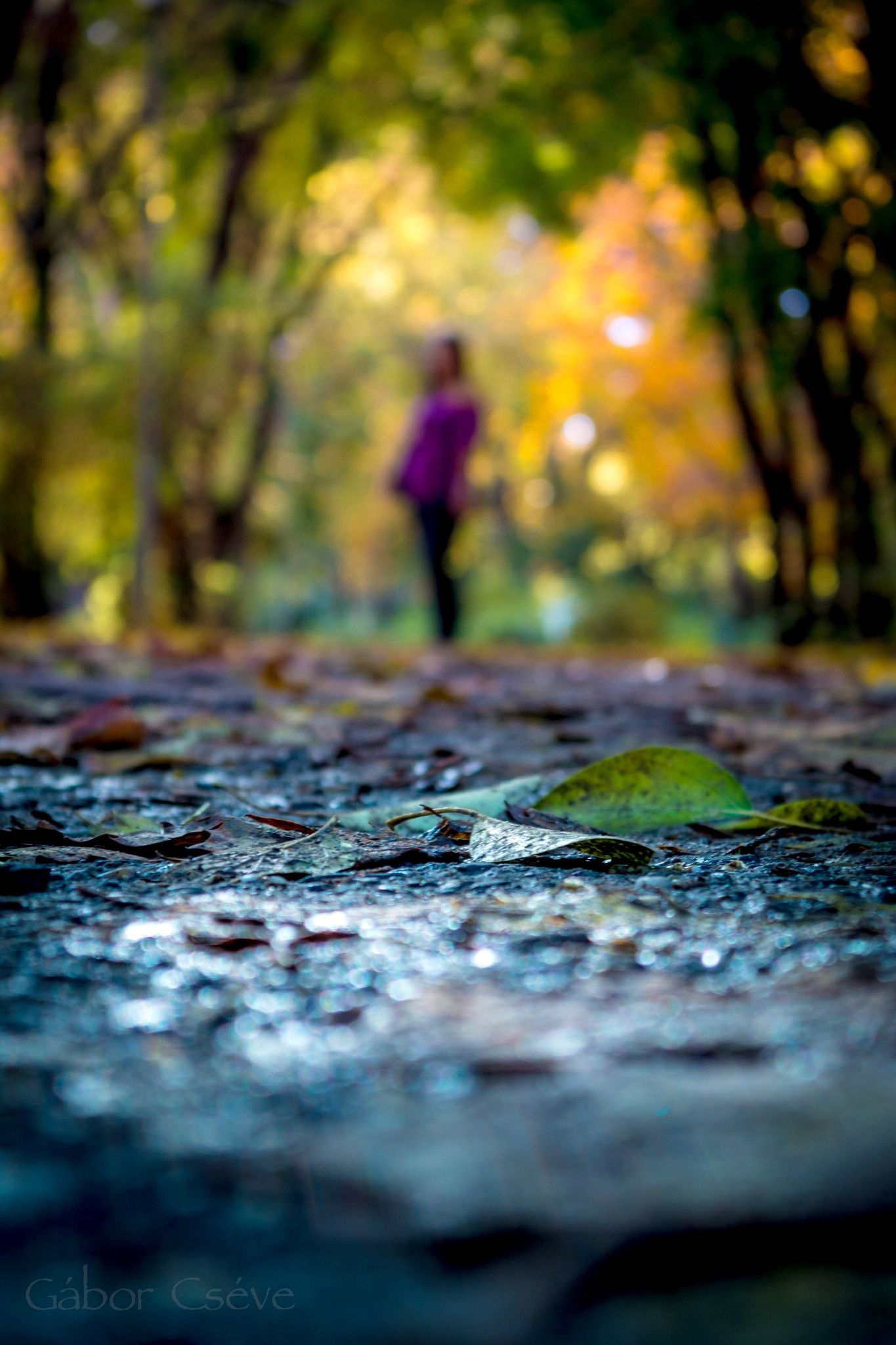 Graphics Background Effect & Blur Image (15)
