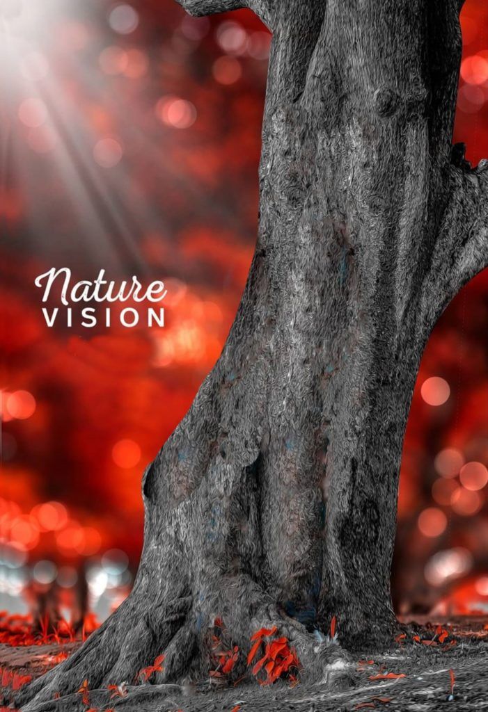 Graphics Background Effect & Blur Image (17)