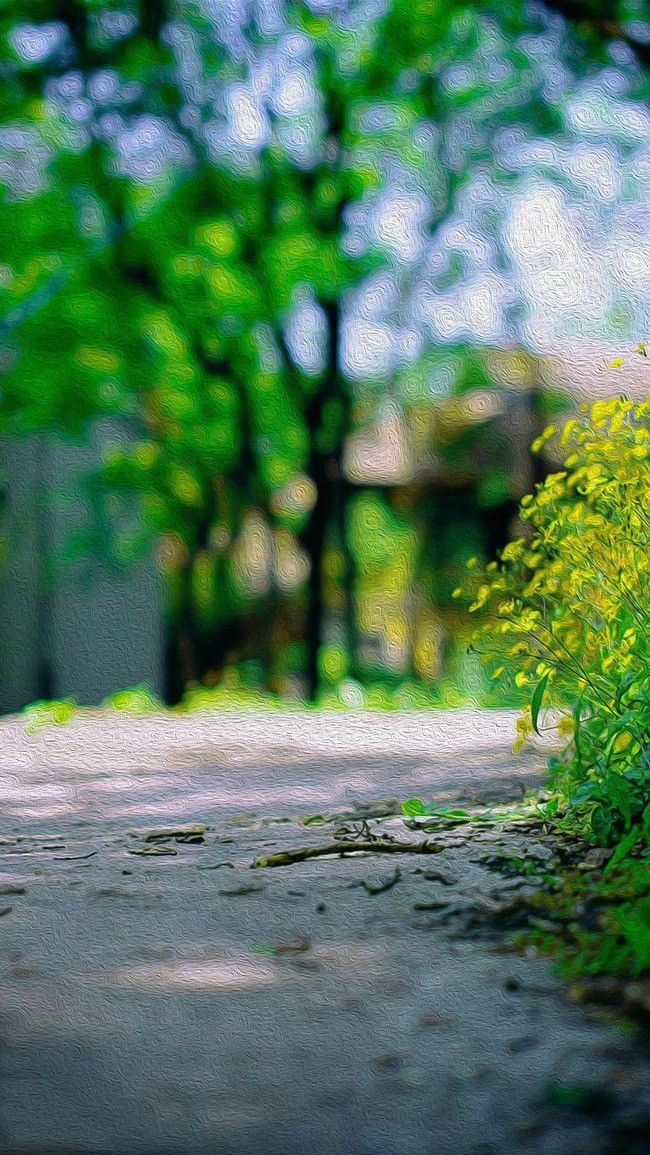 Graphics Background Effect & Blur Image (26)