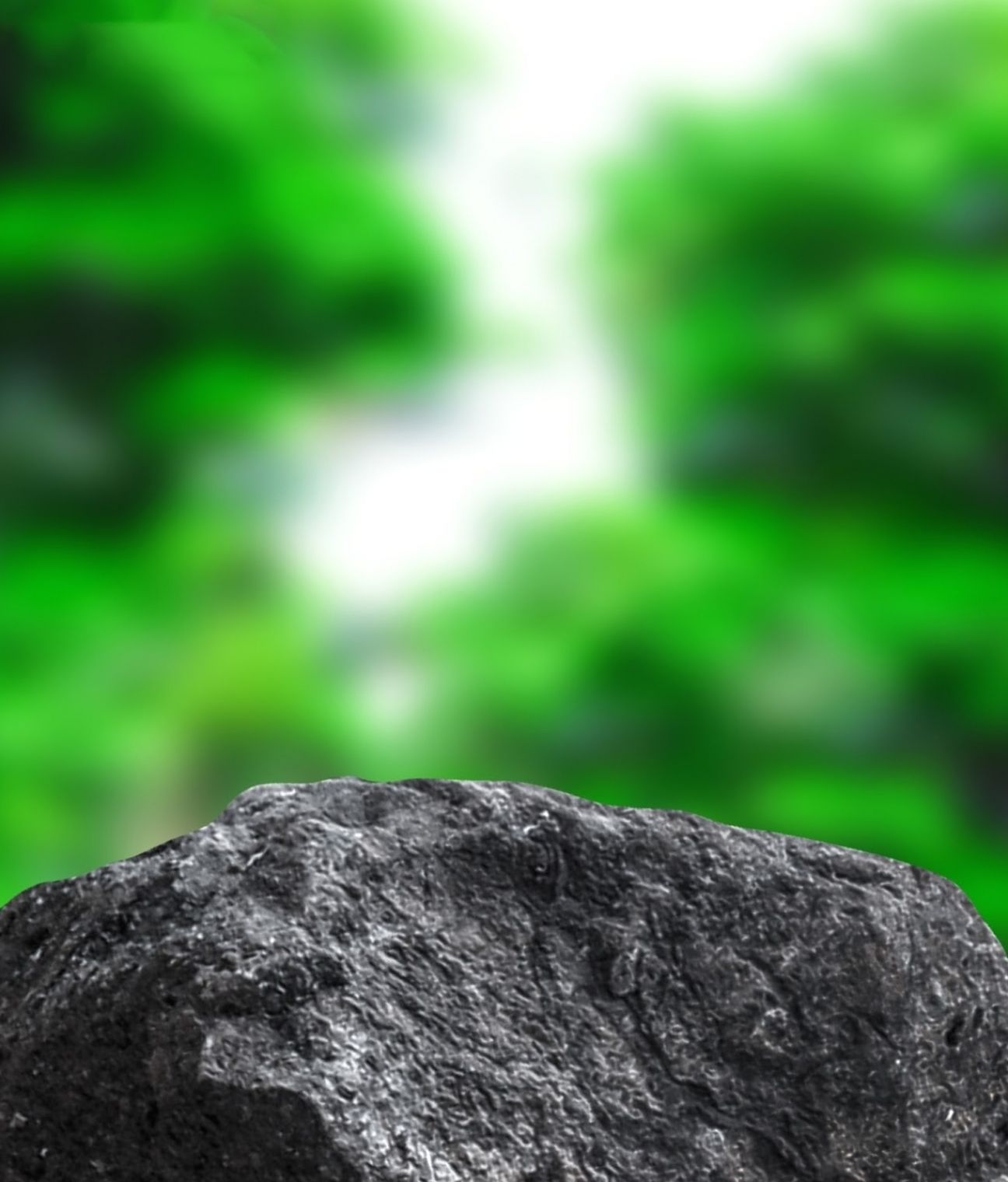 Graphics Background Effect & Blur Image (28)