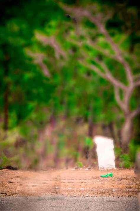 Graphics Background Effect & Blur Image (29)