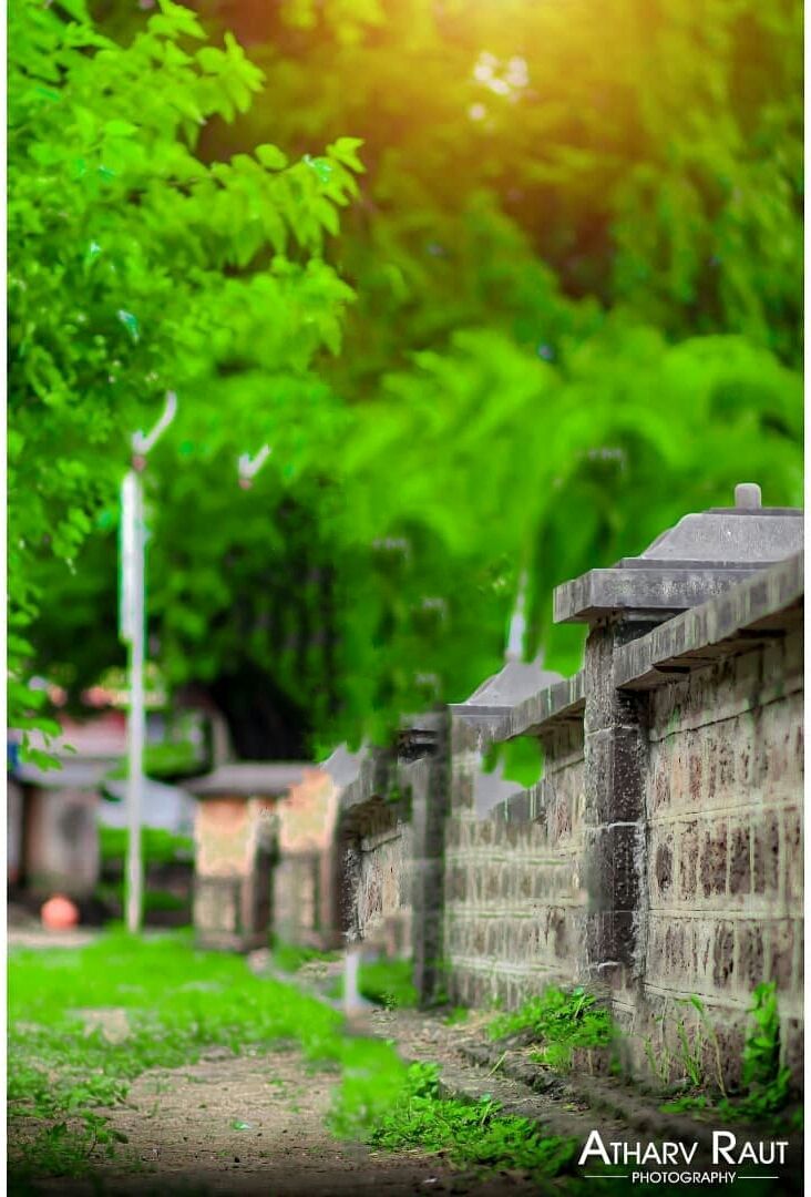 Graphics Background Effect & Blur Image (32)