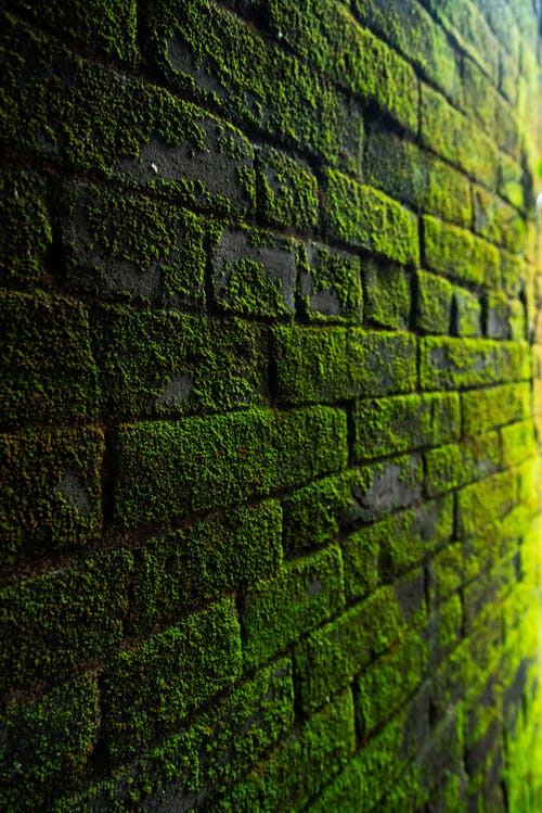 Graphics Background Effect & Blur Image (33)