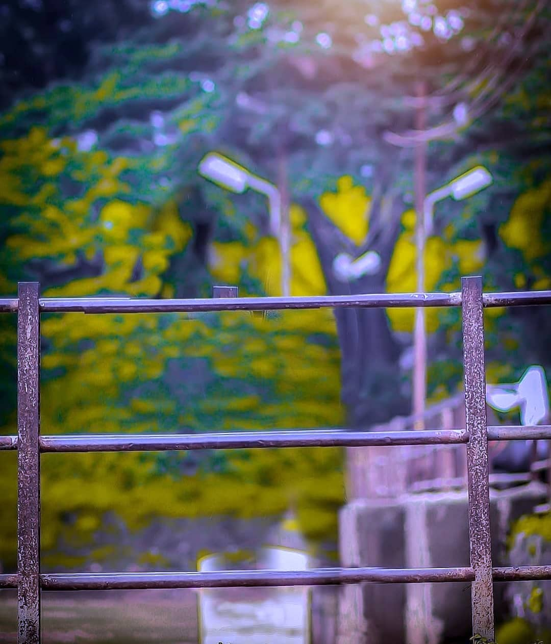 Graphics Background Effect & Blur Image (35)