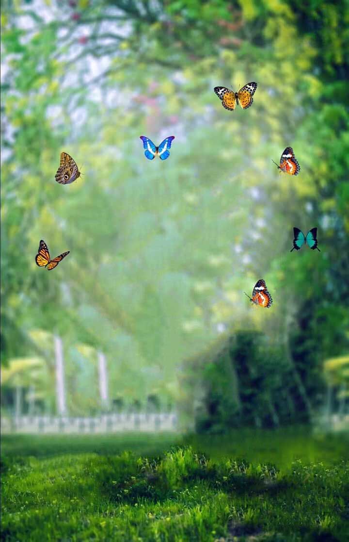 Graphics Background Effect & Blur Image (40)