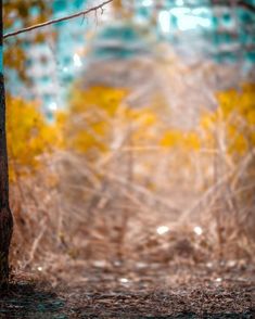 Graphics Background Effect & Blur Image (45)