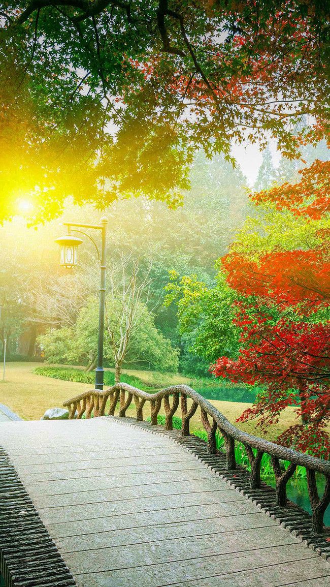 Graphics Background Effect & Blur Image (46)