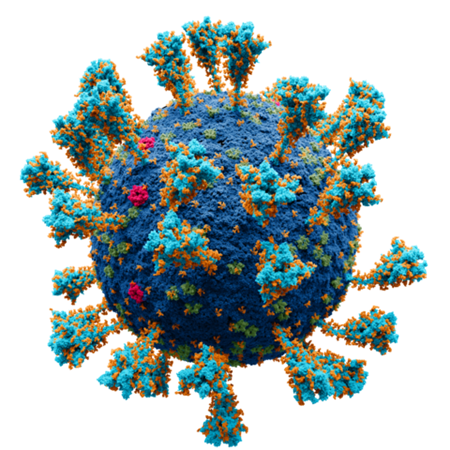 Corona Virus PNG Image (1)