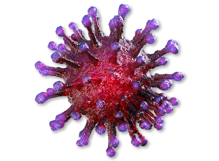 Corona Virus PNG Image (5)