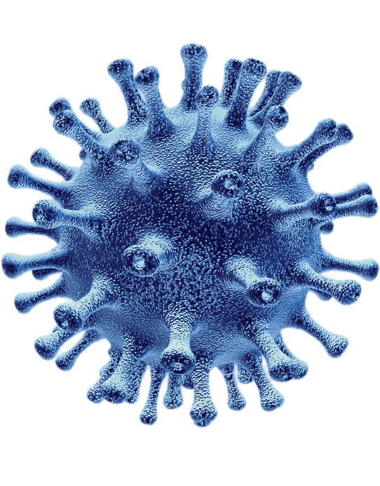 Corona Virus PNG Image (6)