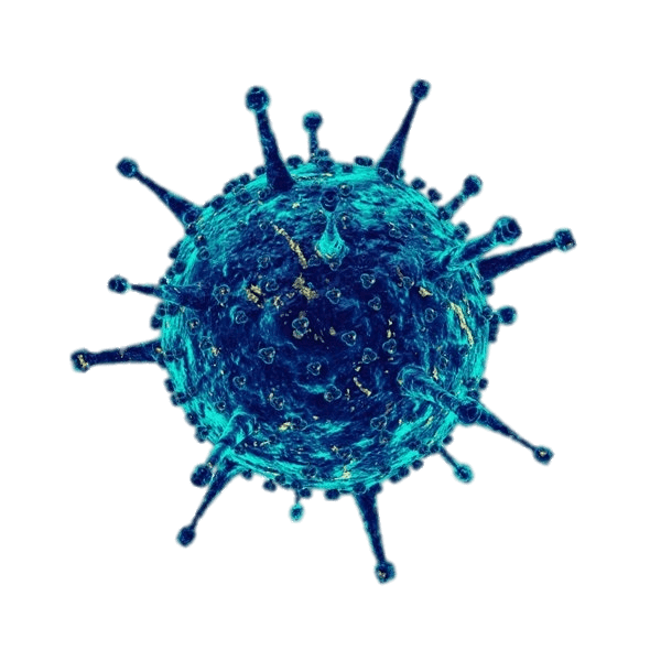 Corona Virus PNG Image (7)