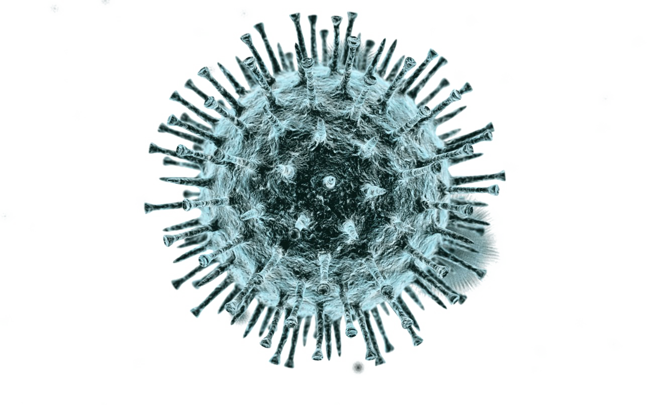 Corona Virus PNG Image (8)