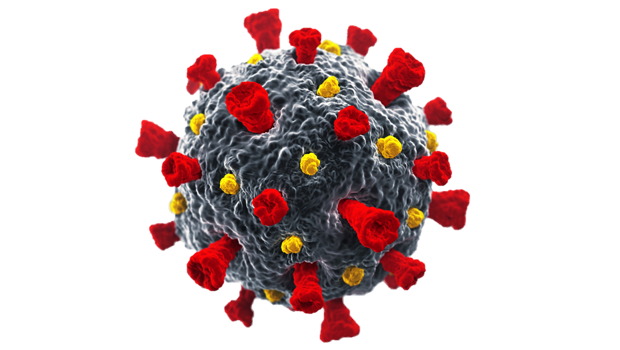 Corona Virus PNG Image (9)