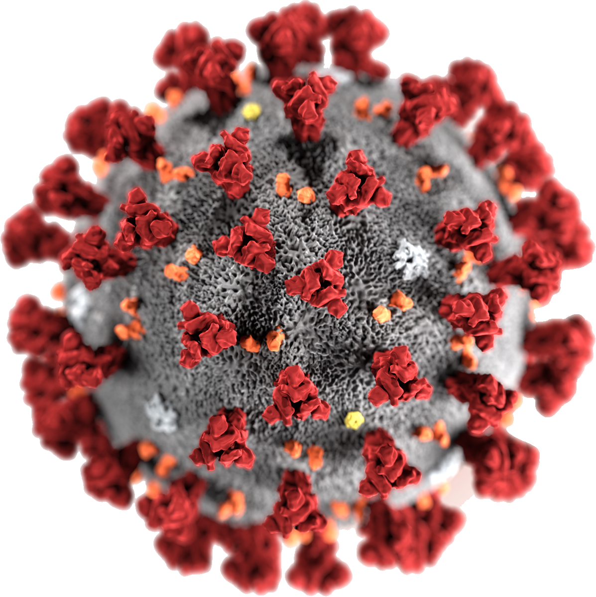 Corona Virus PNG Image (10)