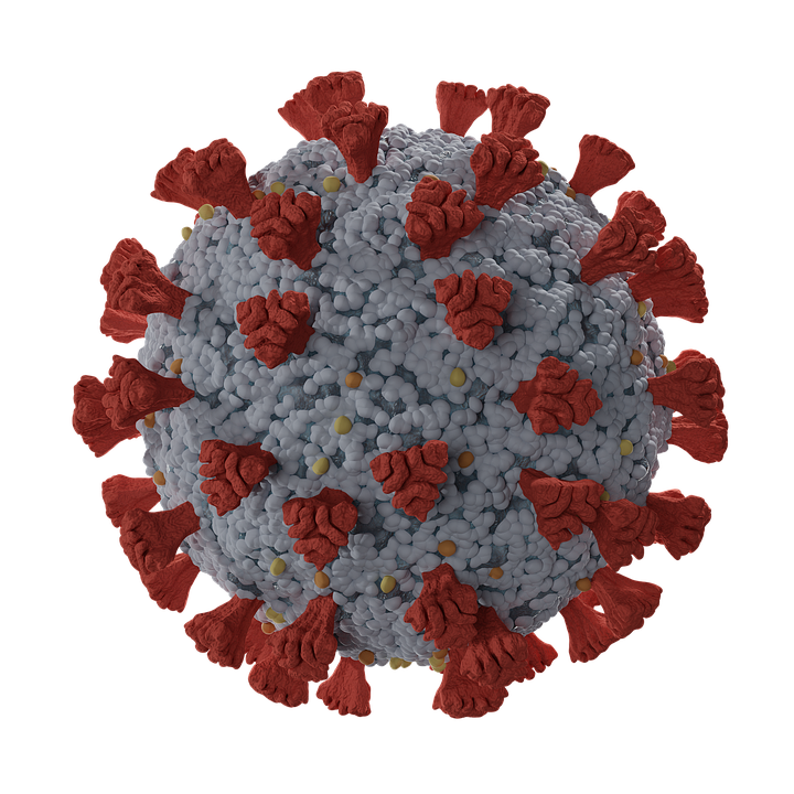 Corona Virus PNG Image (11)