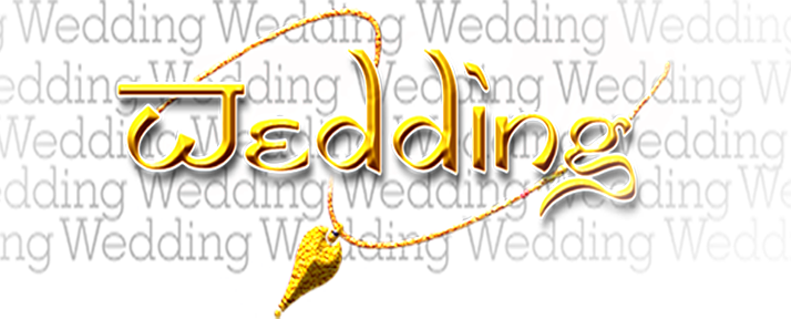 Wedding PNG Graphics Element (176)