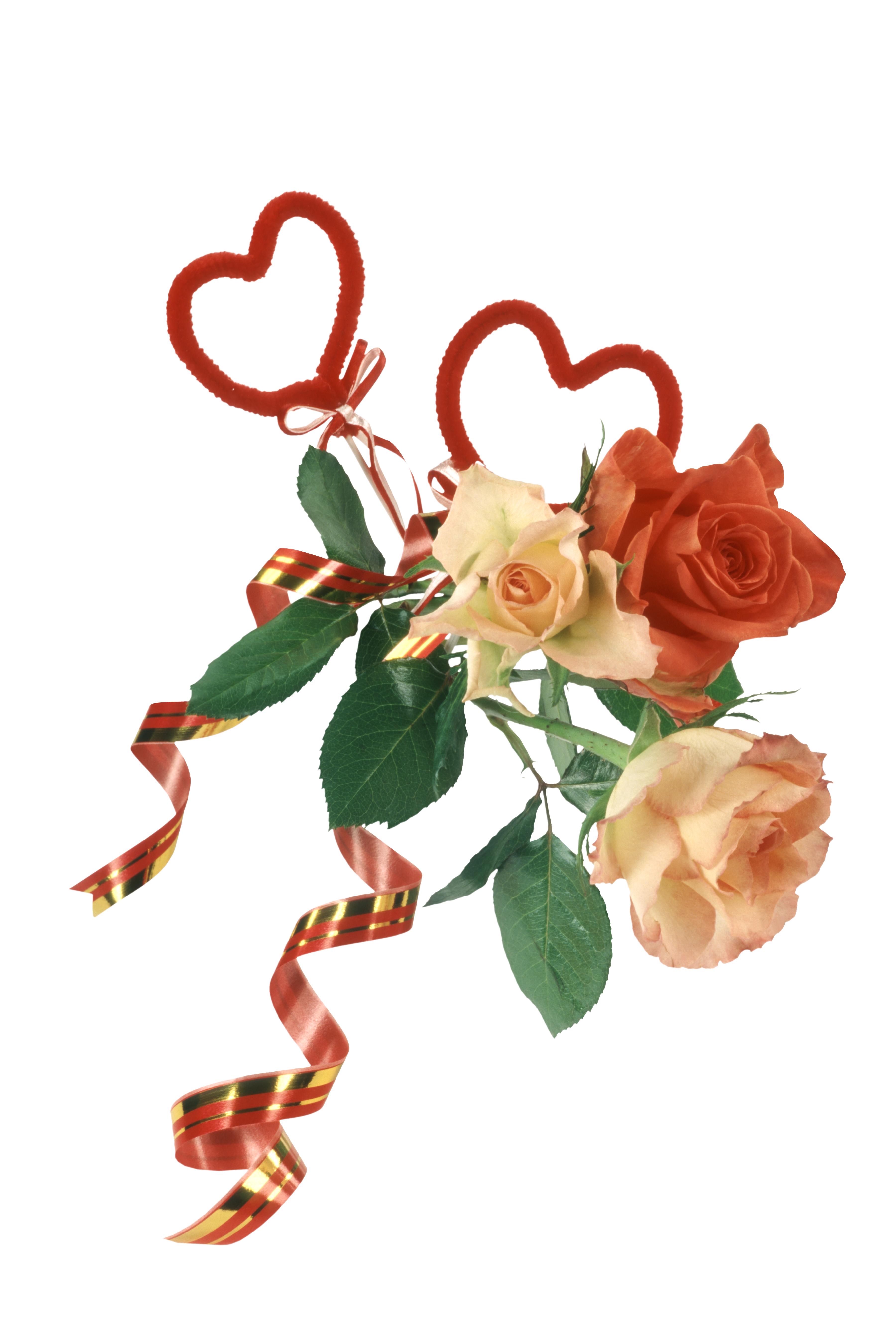 Wedding PNG Graphics Element (201)