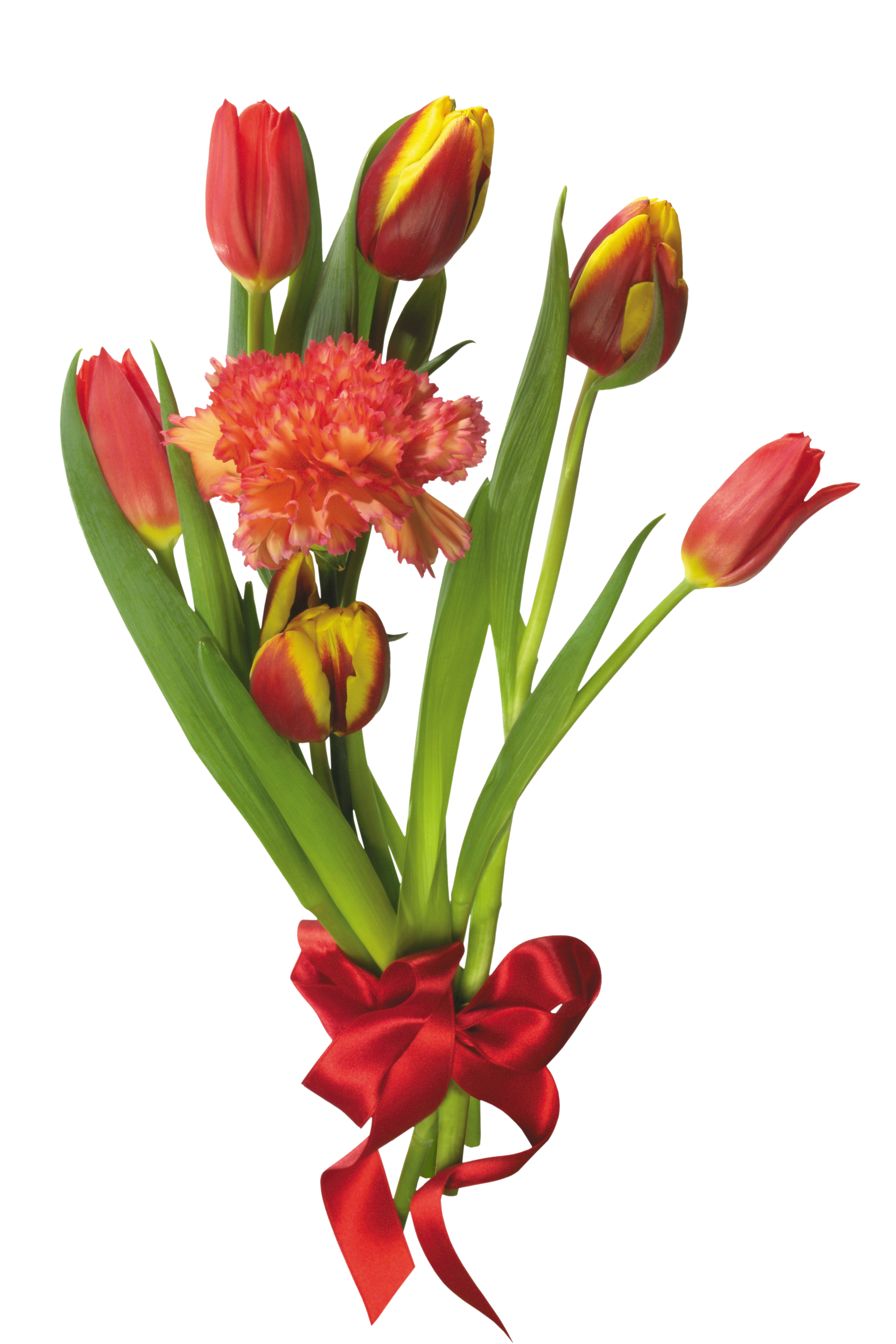 Wedding PNG Graphics Element (202)