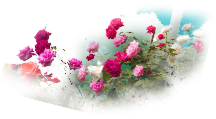 Wedding PNG Graphics Element (315)