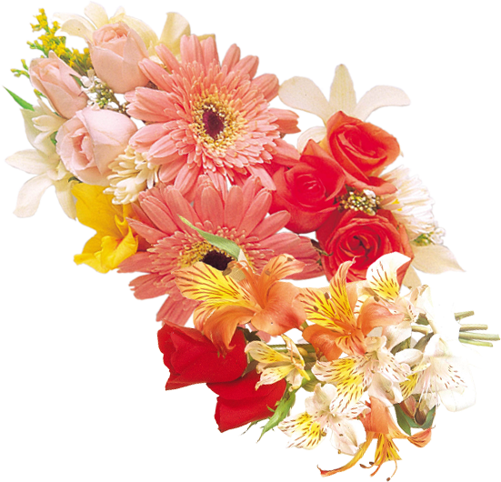 Wedding PNG Graphics Element (320)