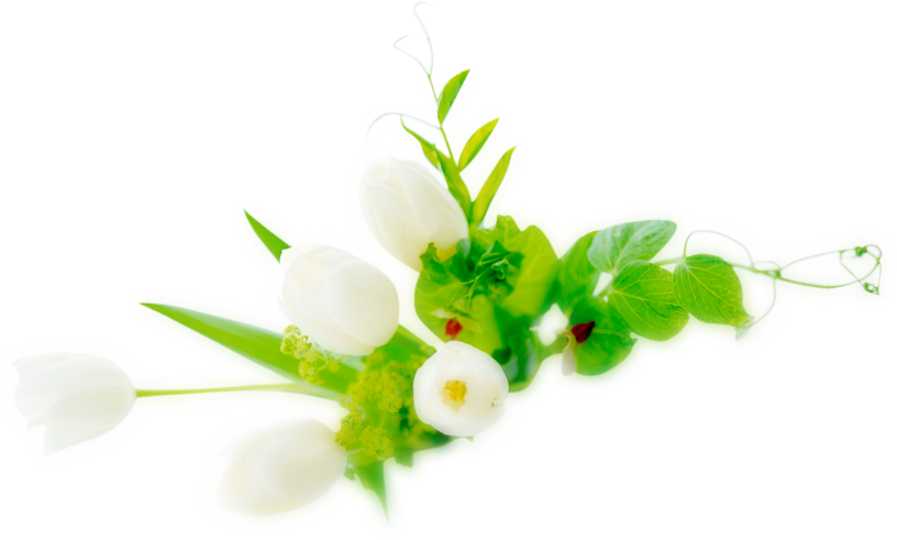 Wedding PNG Graphics Element (368)