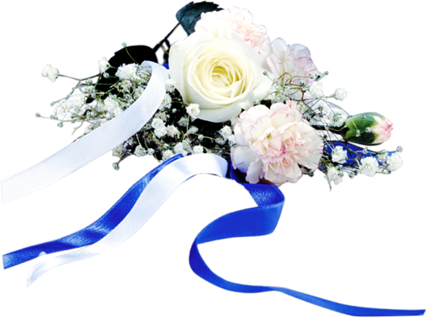 Wedding PNG Graphics Element (375)