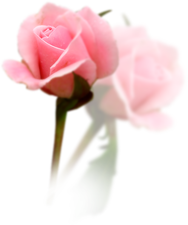 Wedding PNG Graphics Element (378)
