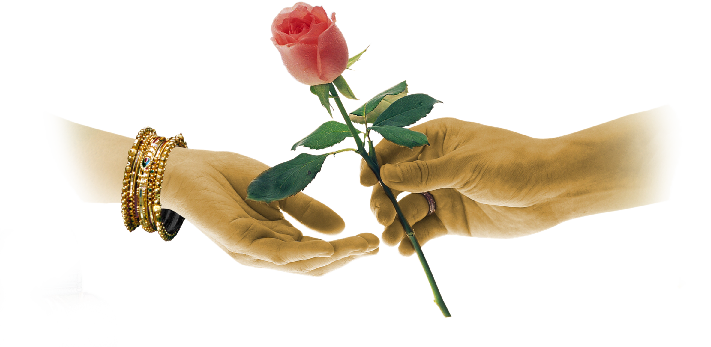 Wedding PNG Graphics Element (385)