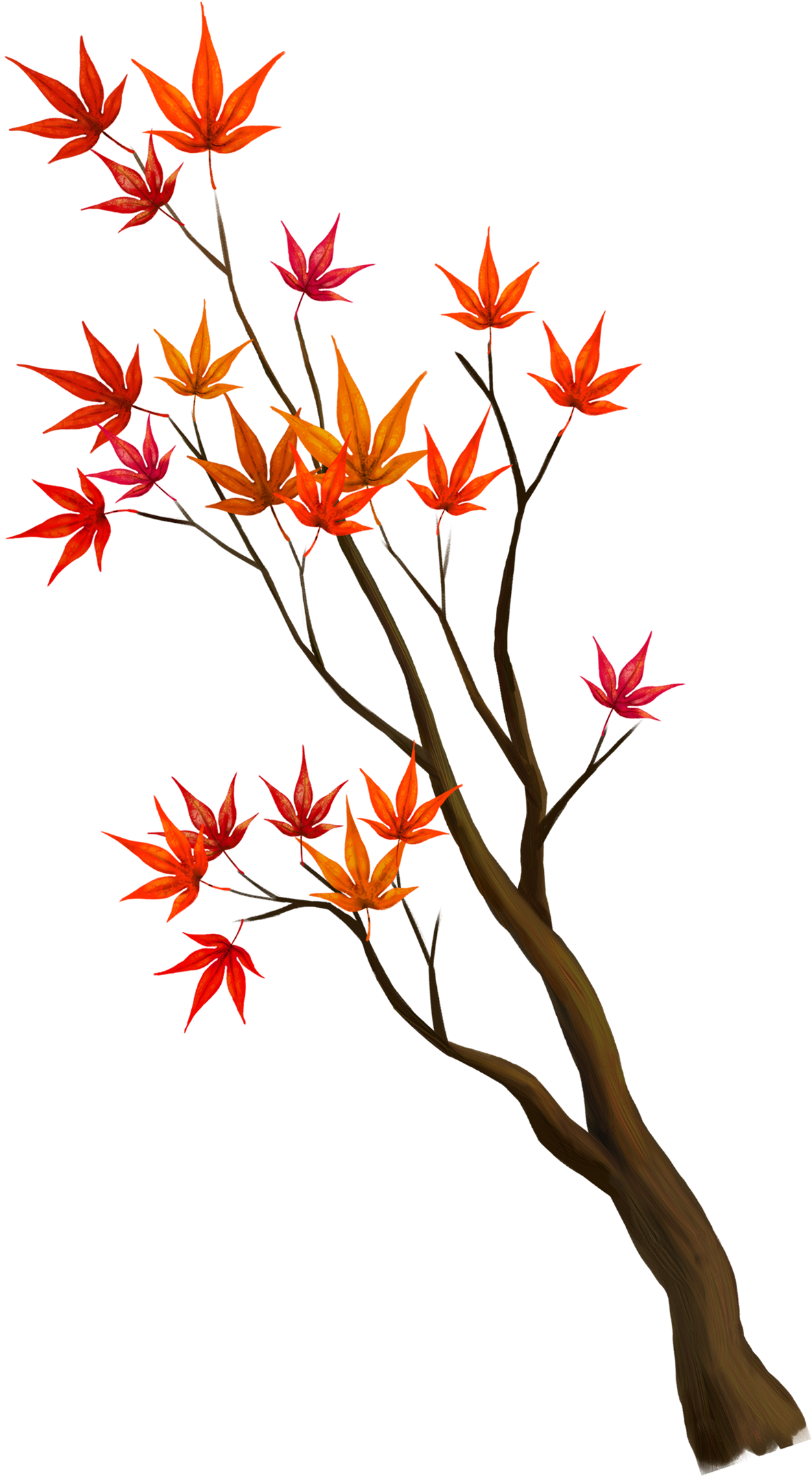 Wedding PNG Graphics Element (405)