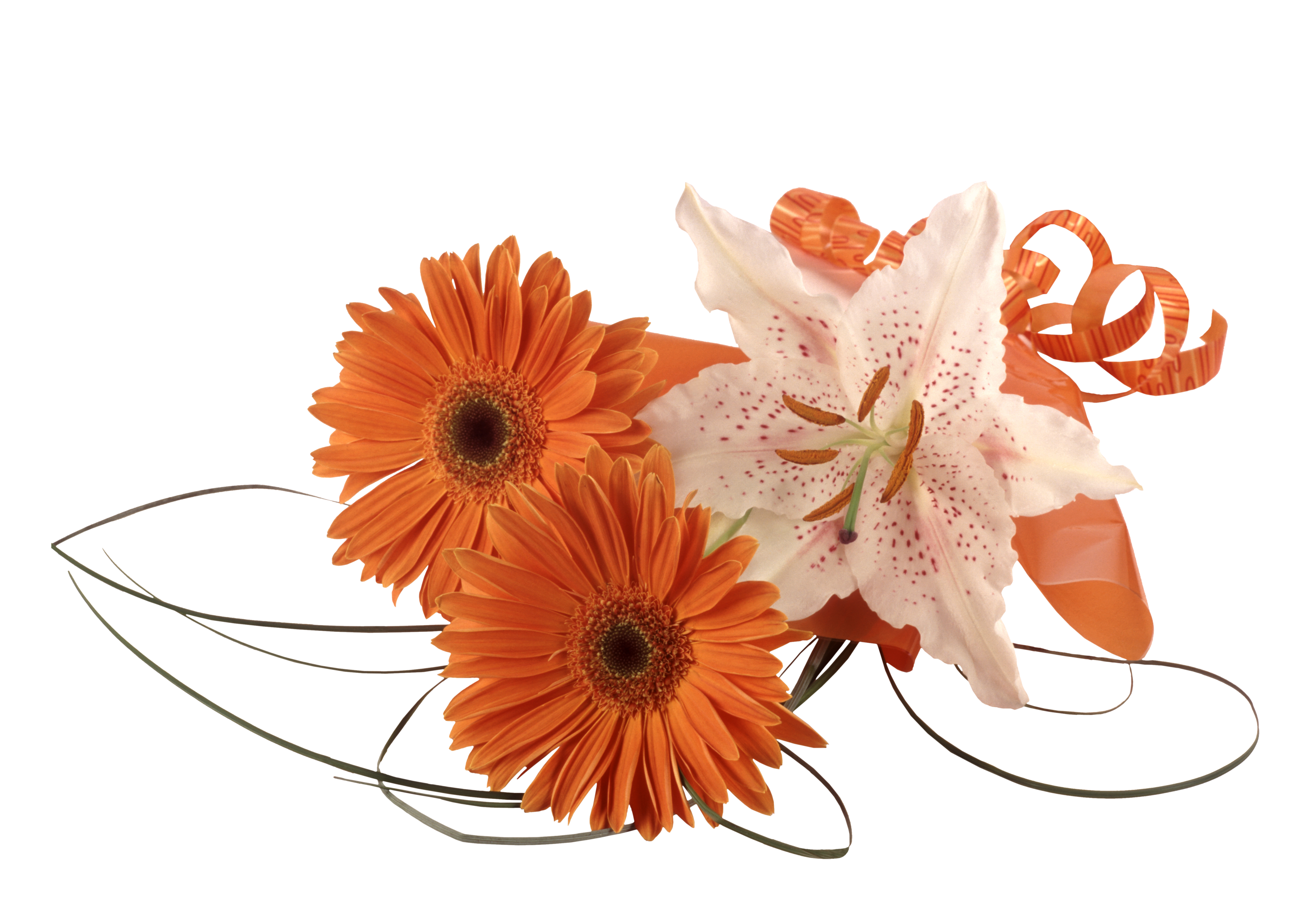 Wedding PNG Graphics Element (419)