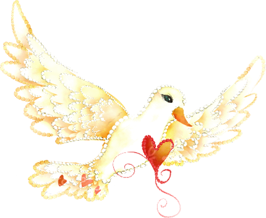 Wedding PNG Graphics Element (440)