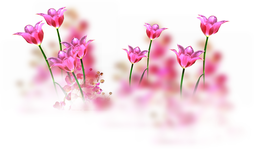 Wedding PNG Graphics Element (441)