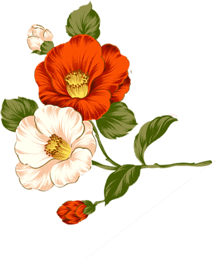 Wedding PNG Graphics Element (471)